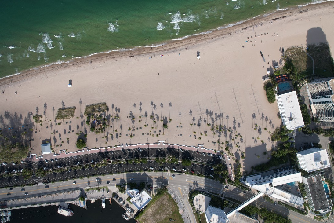 Birdseye